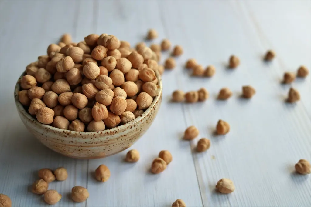 Faim et fringales, les réflexes qui calment l’appétit